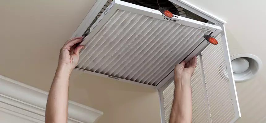 Preventive Cockroach-Proofing for Ducts in Richland