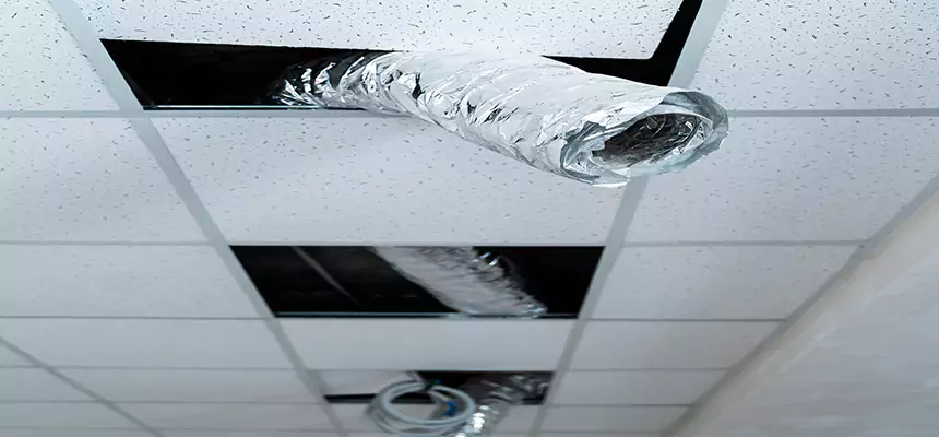 Affordable HVAC Sanitizing After Pest Removal in Richland