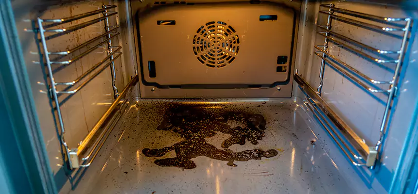 Our Dryer Vent Mold Cleaning Services in Richland, WA