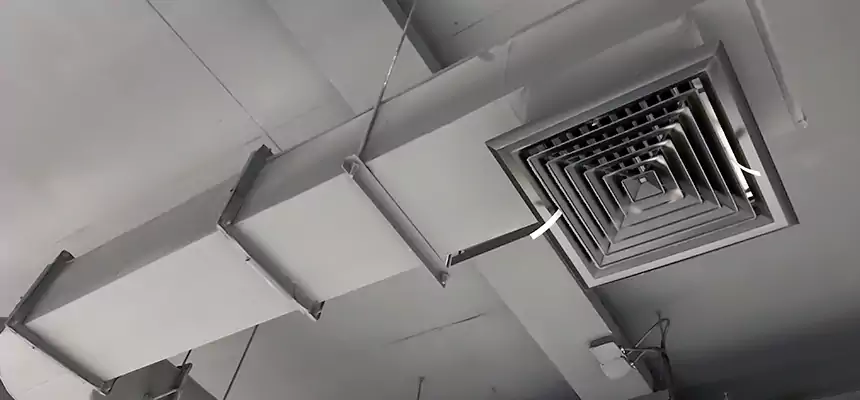 Our Pest Removal From Ducts Services in Richland, WA