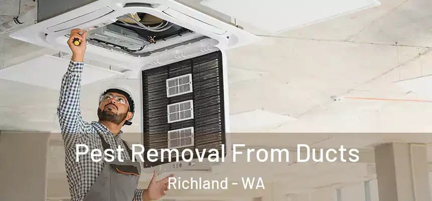Pest Removal From Ducts Richland - WA