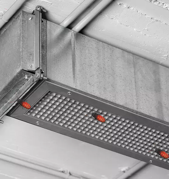 About Air Duct Cockroach Removal in Richland, WA