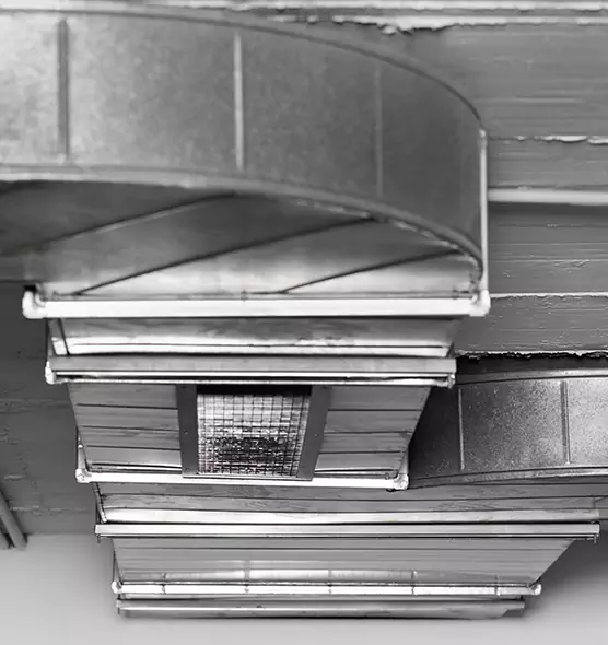 Professional Air Duct Pest Removal in Richland, WA