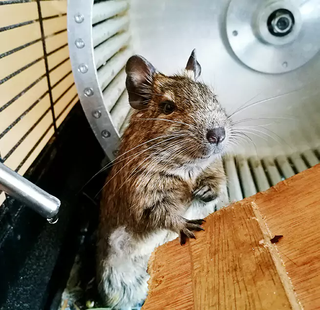 Why Homeowners & Businesses Trust Us Richland, WA?